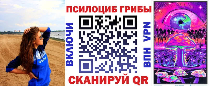 Галлюциногенные грибы мухоморы  где купить   Камбарка 